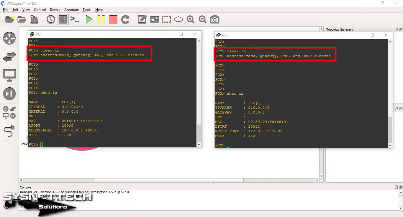 show ip and clear ip commands