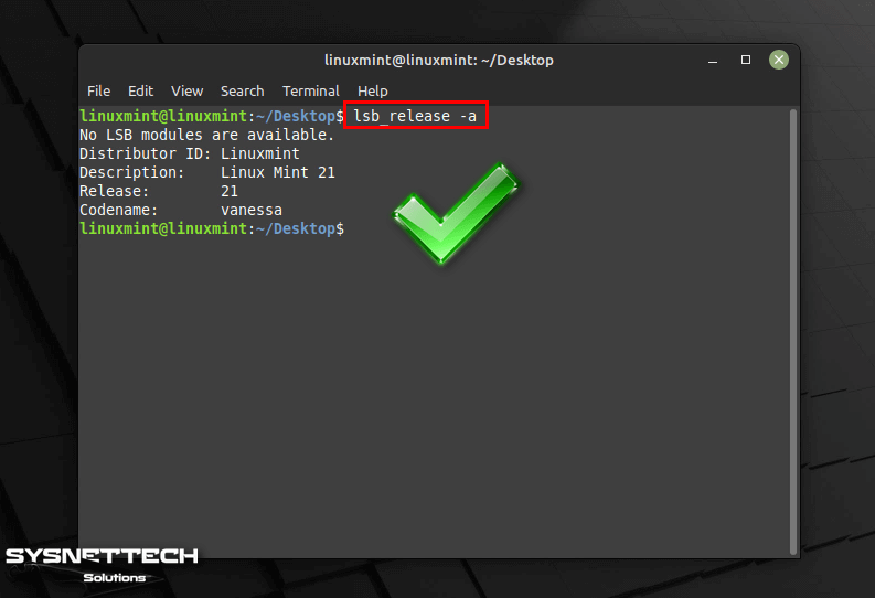 How to Install Linux Mint - SYSNETTECH Solutions