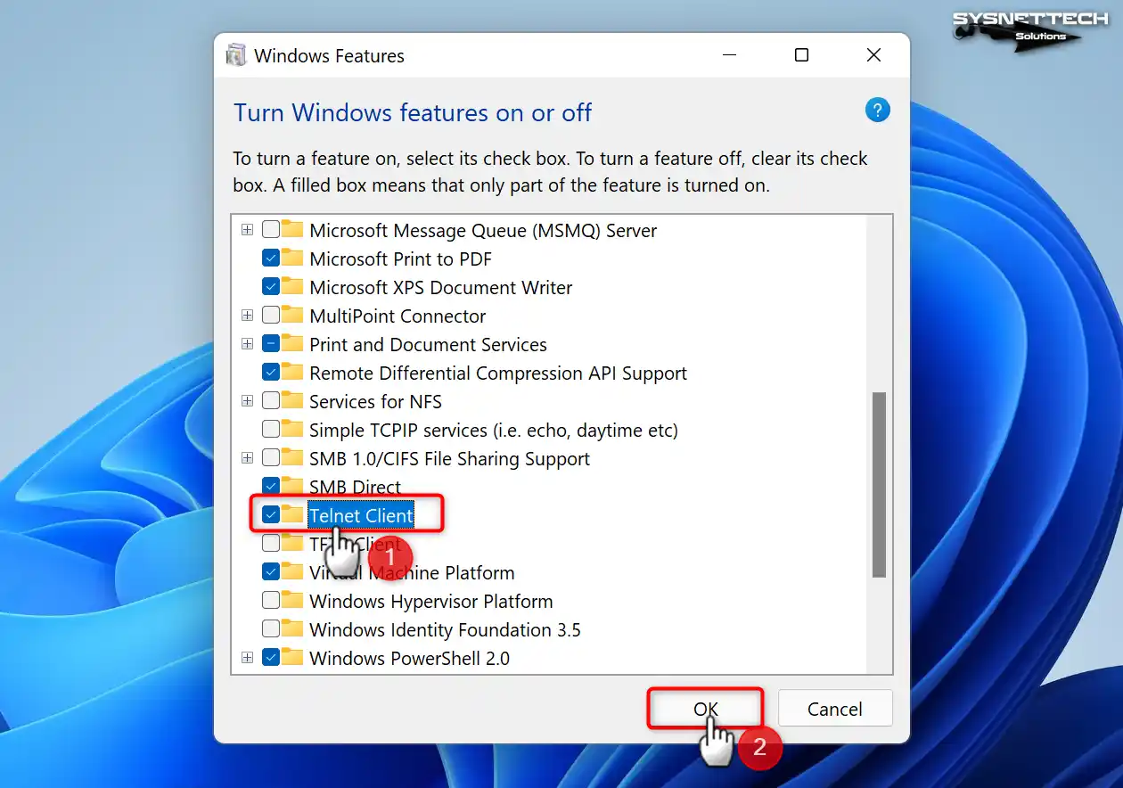 Telnet pick and confirm from Windows Features