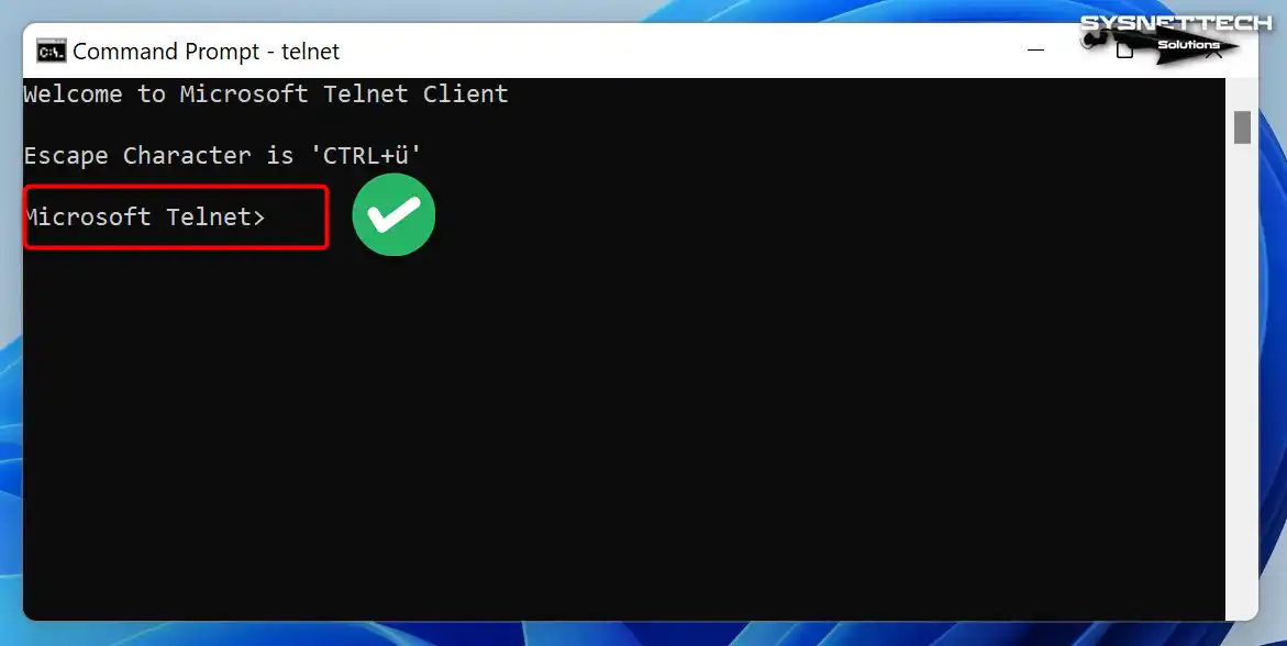Screen shot showing the Telnet service runs well