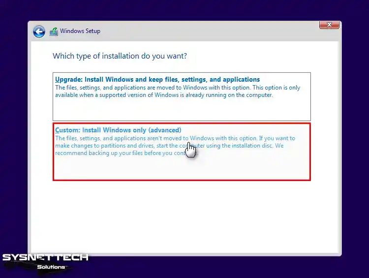 Advanced Windows Installation Option