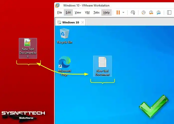 File Transfer Between Host and Guest