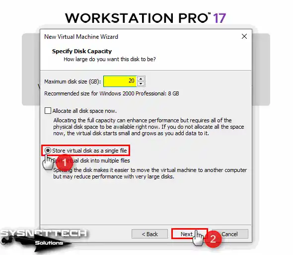 Sizing a Virtual Disk and Backup as a Single File Type