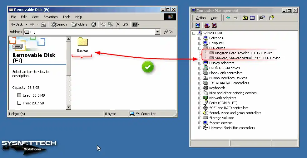 Checking Flash Disk in Device Manager