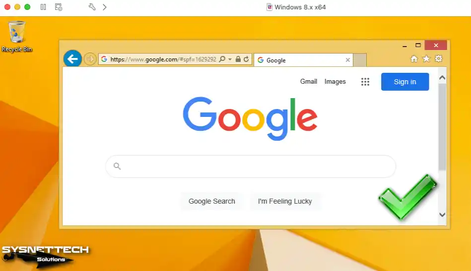 İnternet Explorer ile Google Anasayfasını Ziyaret Etme