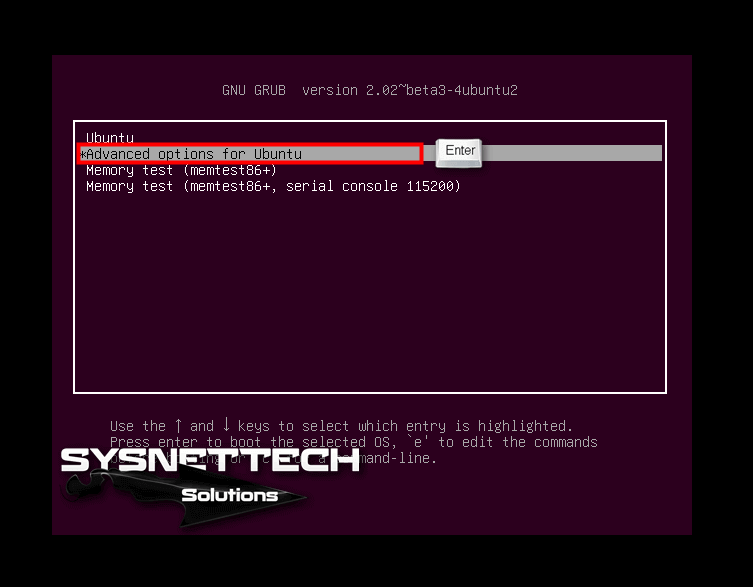 Advanced options for Ubuntu