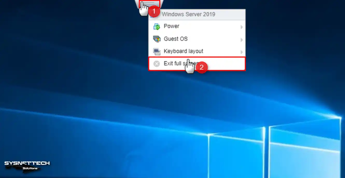 Windows Server Full Screen Resolution on ESXi