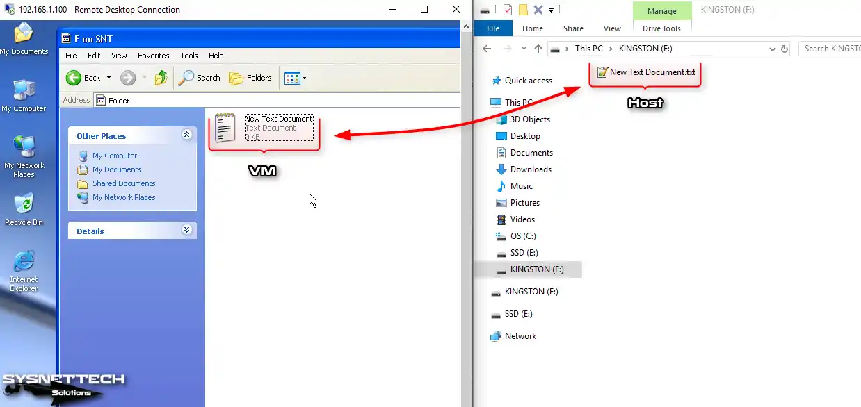 File Transfer Between Host and VM
