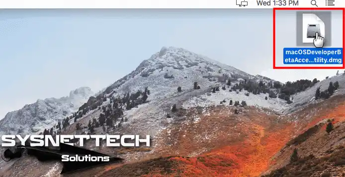 macOS Developer Beta Access.dmg