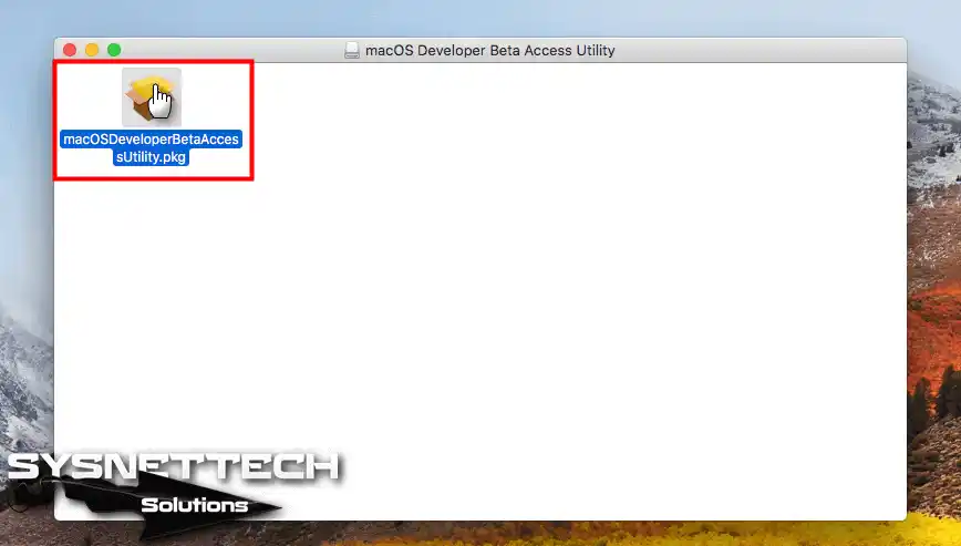 macOS Developer Beta Access Utility.pkg