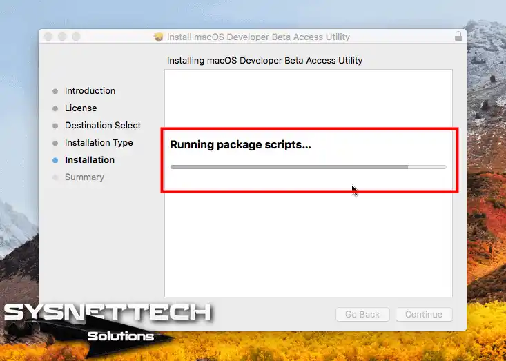 Running Package Scripts