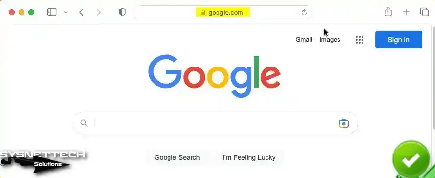 Visiting the Google Homepage with Safari