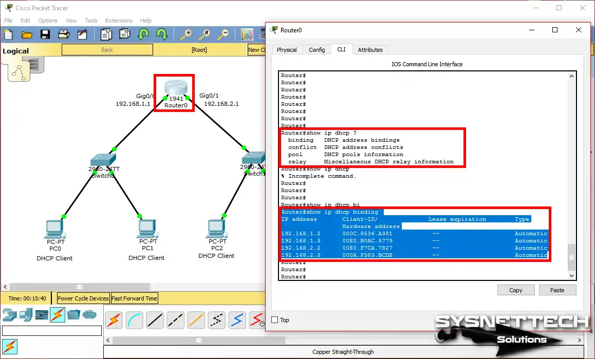 show ip dhcp binding