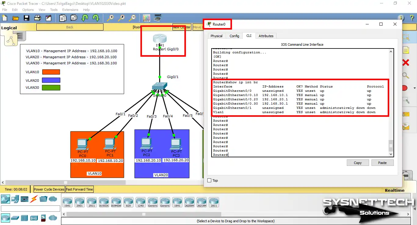 show ip interface brief