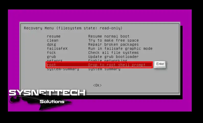 Drop to root shell prompt seçme