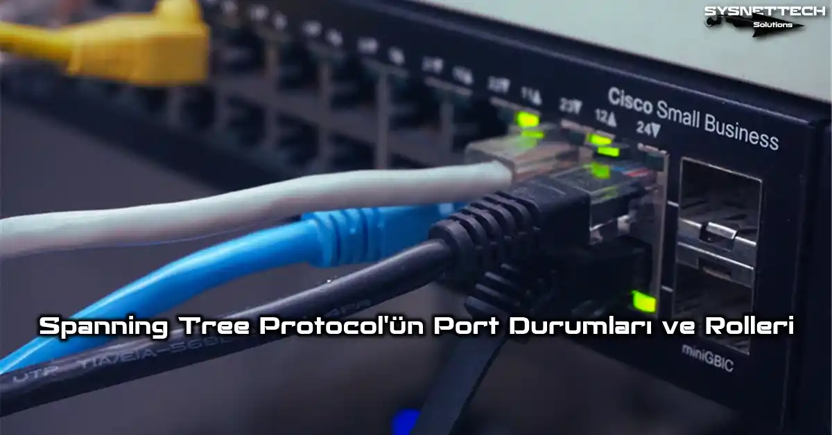 Spanning Tree Protocol Port Durumları & Rolleri