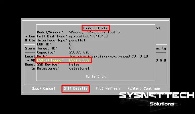 ESXi Server Disk Details