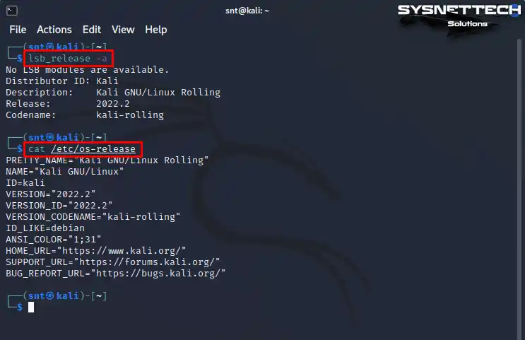 Checking Kali System Version