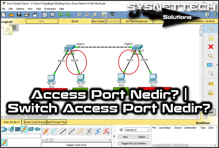 Access Port (Erişim Portu) Tanımı ve Kullanımı