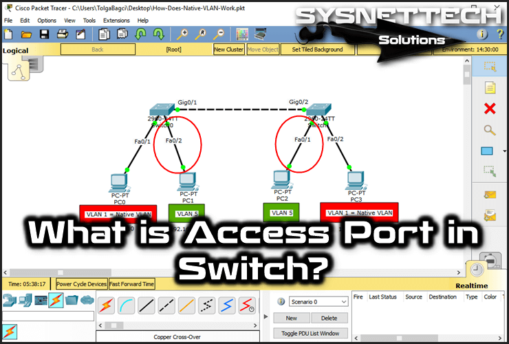 What is Access Port in Switch?