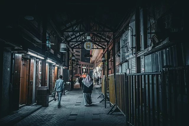 Adobe Photoshop, Illustrator ve Lightroom arayüzlerini gösteren ekran görüntüleri.