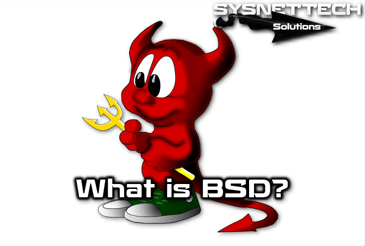 What is BSD (Berkeley Software Distribution)?