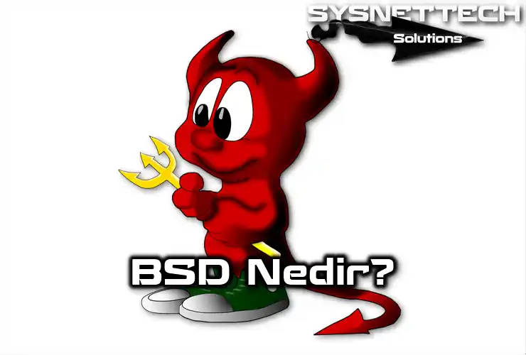 BSD Sistemi Tanımı ve Özellikleri