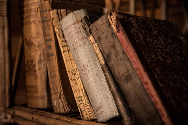 The old books on the shelf represent visual asset archiving