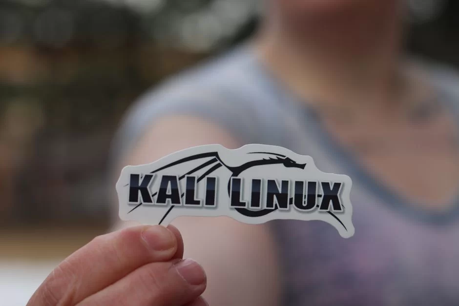 Kali Linux sistemini ifade eden bir görsel