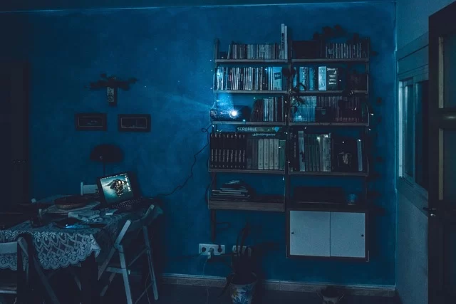 Image referencing the cultural impact of DivX