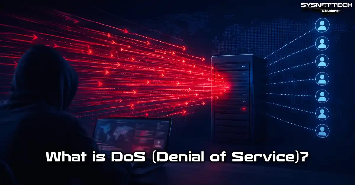 DoS (Denial of Service) Attack Definition, Features, and Protection Methods