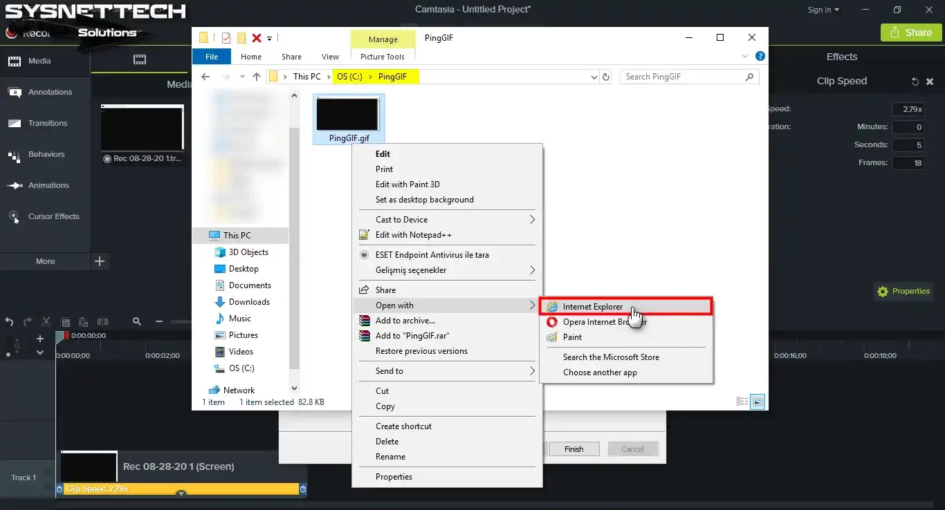 Playing the GIF file in a web browser