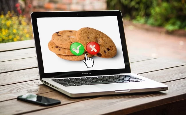 Web tarayıcısında çerez ayarları ekranı veya gizlilik tercihleri