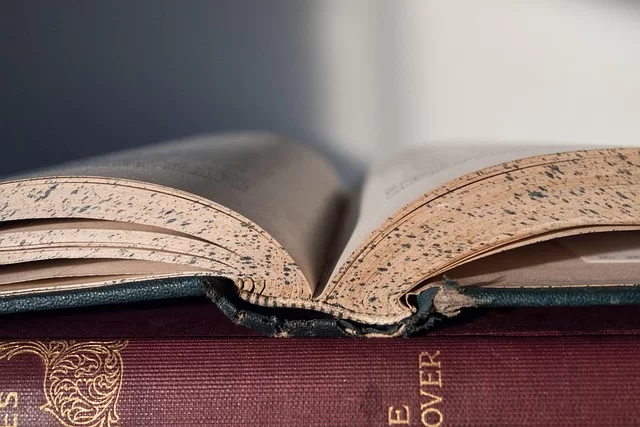 Bilimsel makale gönderme sürecini gösteren bir resim