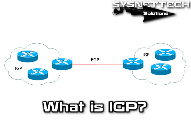 What is IGP (Interior Gateway Protocol)?