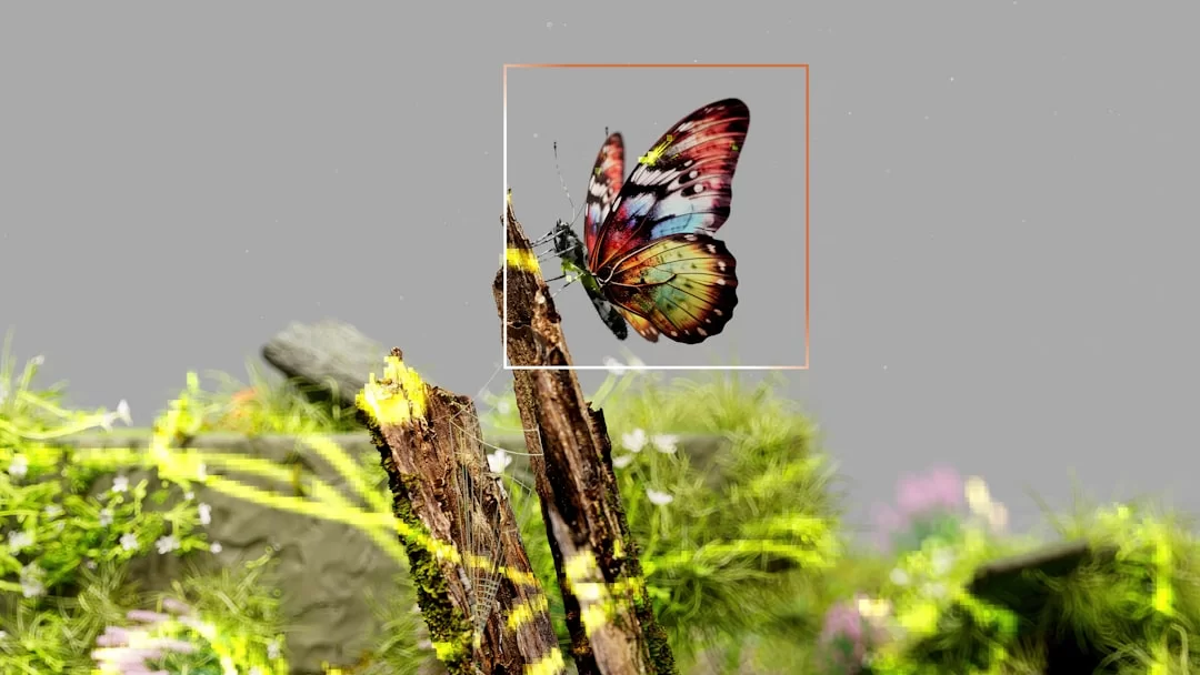 A photo showing JPEG compression artifacts: blocking, blur, and color distortion from lossy compression