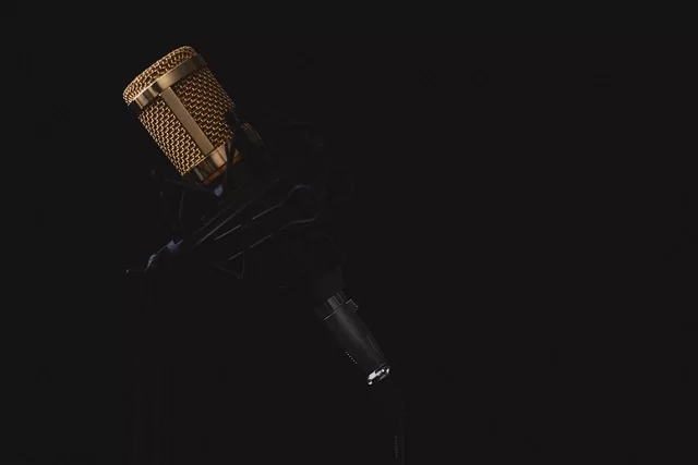 A professional microphone used in MP3 audio production