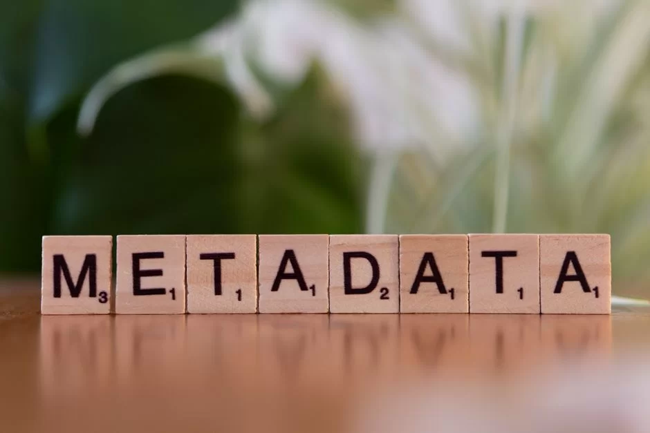 Dijital varlık yönetimi sisteminde meta veri etiketlerini ifade eden bir görsel