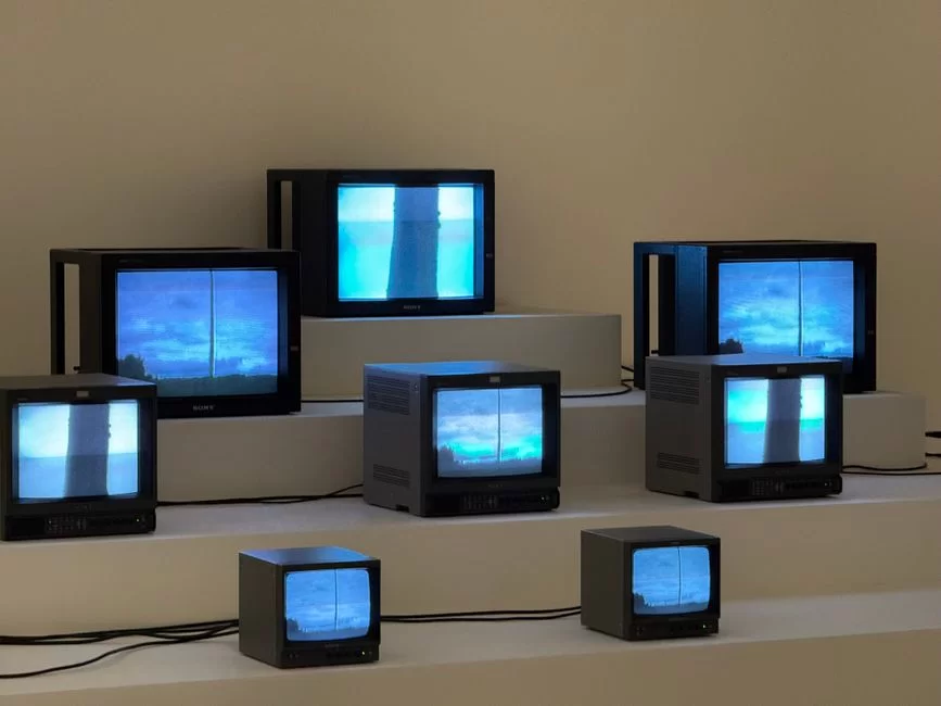Farklı analog televizyon standartlarını temsil eden bir görsel