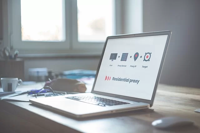 Proxy ayarlarını örneklendiren bir görsel