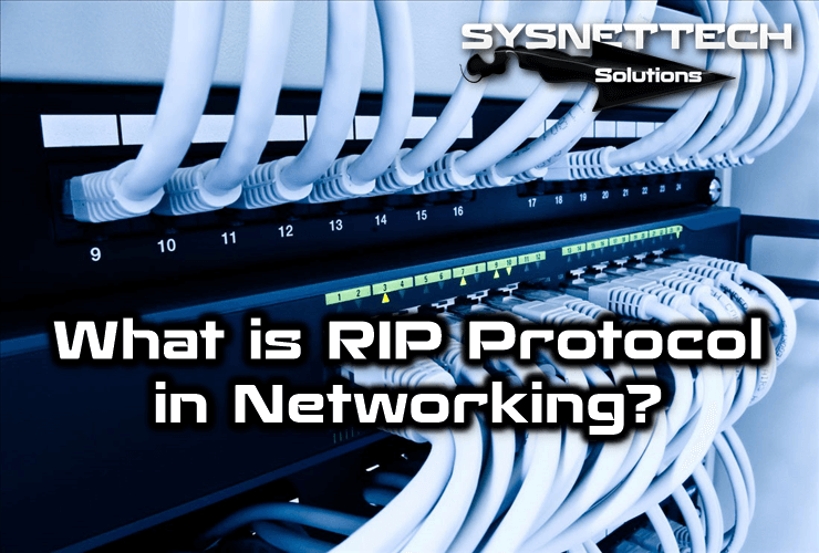 What is RIP (Routing Information Protocol) in Networking?