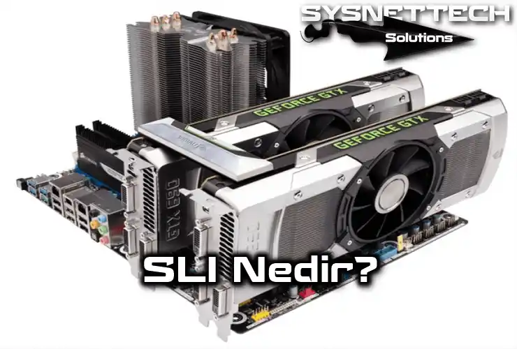 SLI Tanımı ve Özellikleri