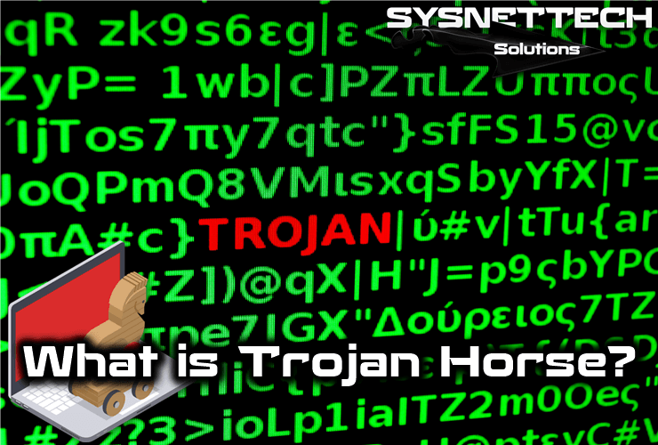 What is the Trojan Horse Virus in Computer?