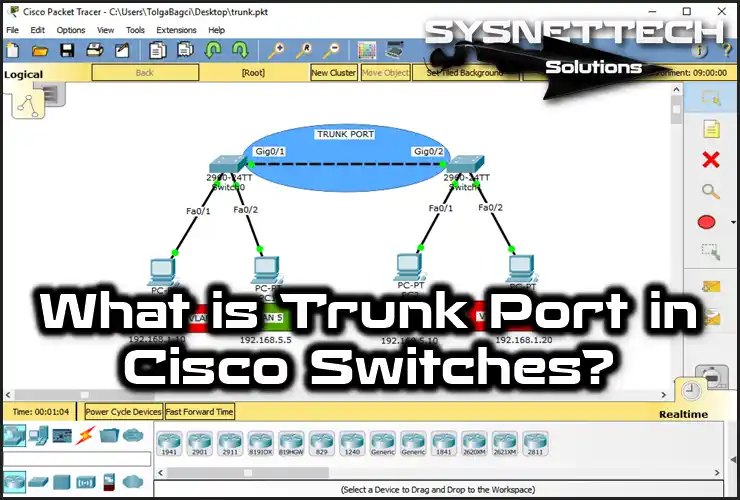 Trunk Port Definition and Connection