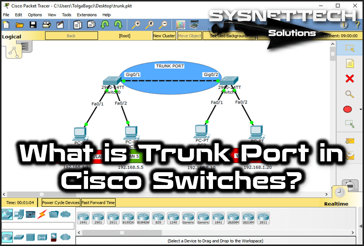 What is Trunk Port?