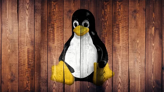 An image representing the Linux system