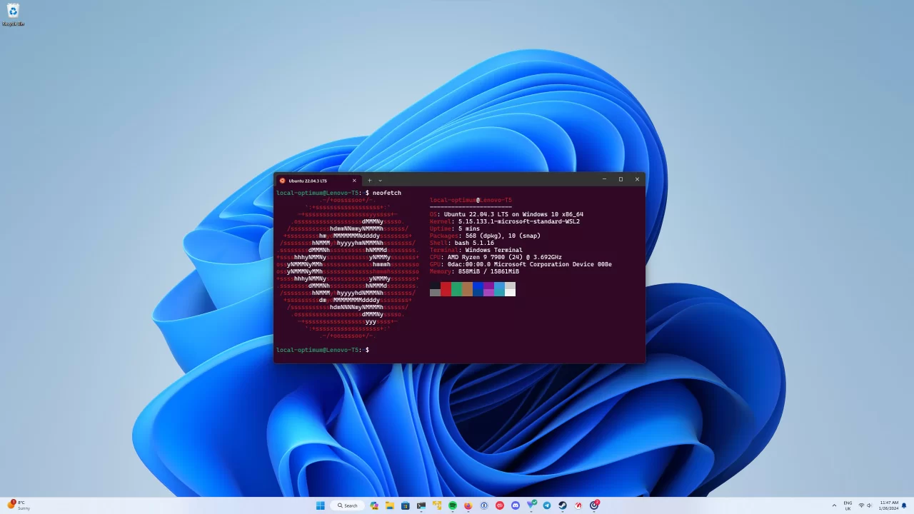 Using Ubuntu with Windows Subsystem (WSL)