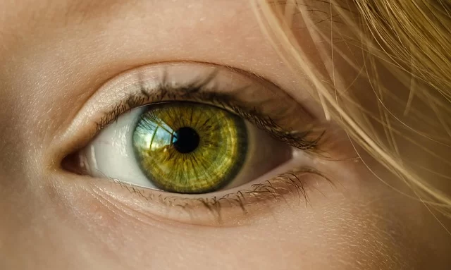An image expressing the illusion of motion of the human eye