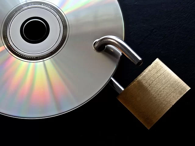 Visual referencing security vulnerabilities of the WMA (Windows Media Audio) format