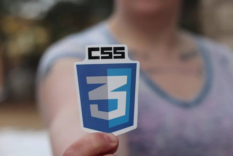 CSS logosunu gösteren bir görsel
